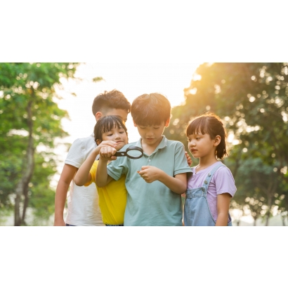 從大腦發展看情緒：為什麼孩子需要情緒調節課程？